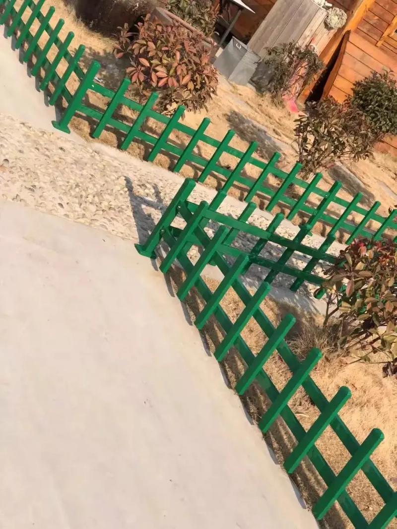 种什么花草做隔离护栏最好